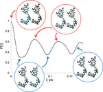 All-Mode Quantum–Classical Path Integral Simulation of Bacteriochlorophyll Dimer Exciton-Vibration Dynamics