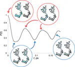 All-Mode Quantum–Classical Path Integral Simulation of Bacteriochlorophyll Dimer Exciton-Vibration Dynamics